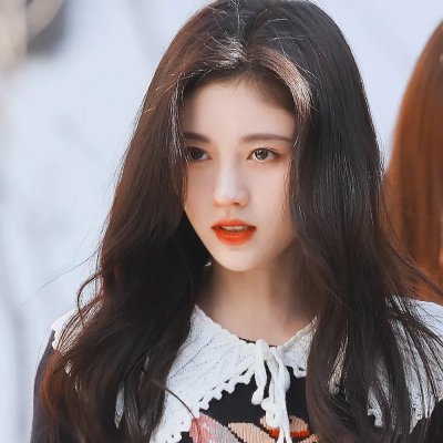 美声歌鸡